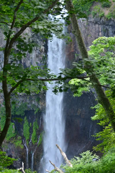 DSC_3949 (Large).JPG